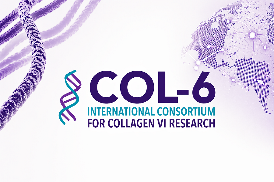 CONSORCIO INTERNACIONAL COL-6 PARA LA INVESTIGACIÓN DEL COLÁGENO VI